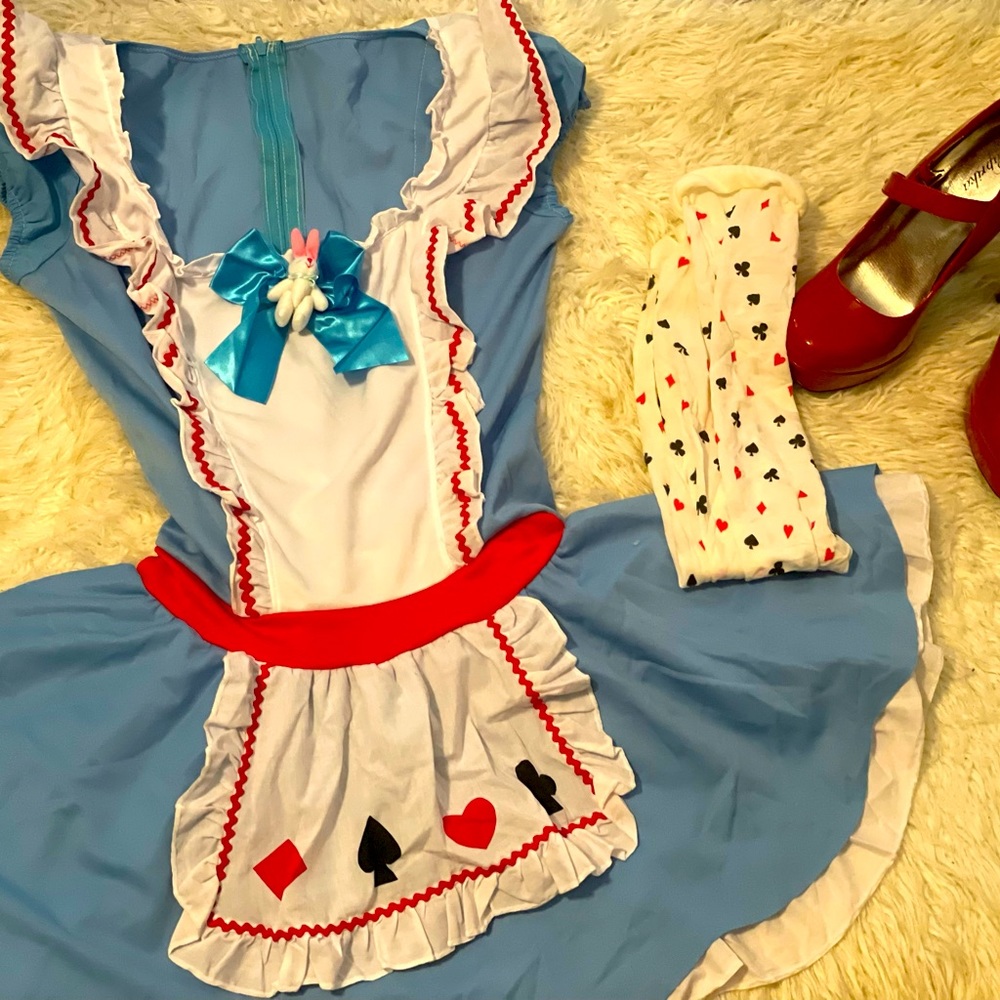 Alice in Wonderland Halloween Costume